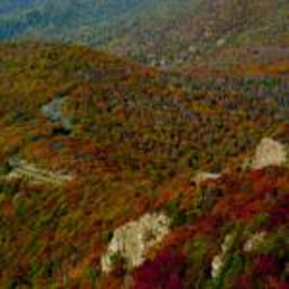 Skyland Resort Luray Buitenkant foto